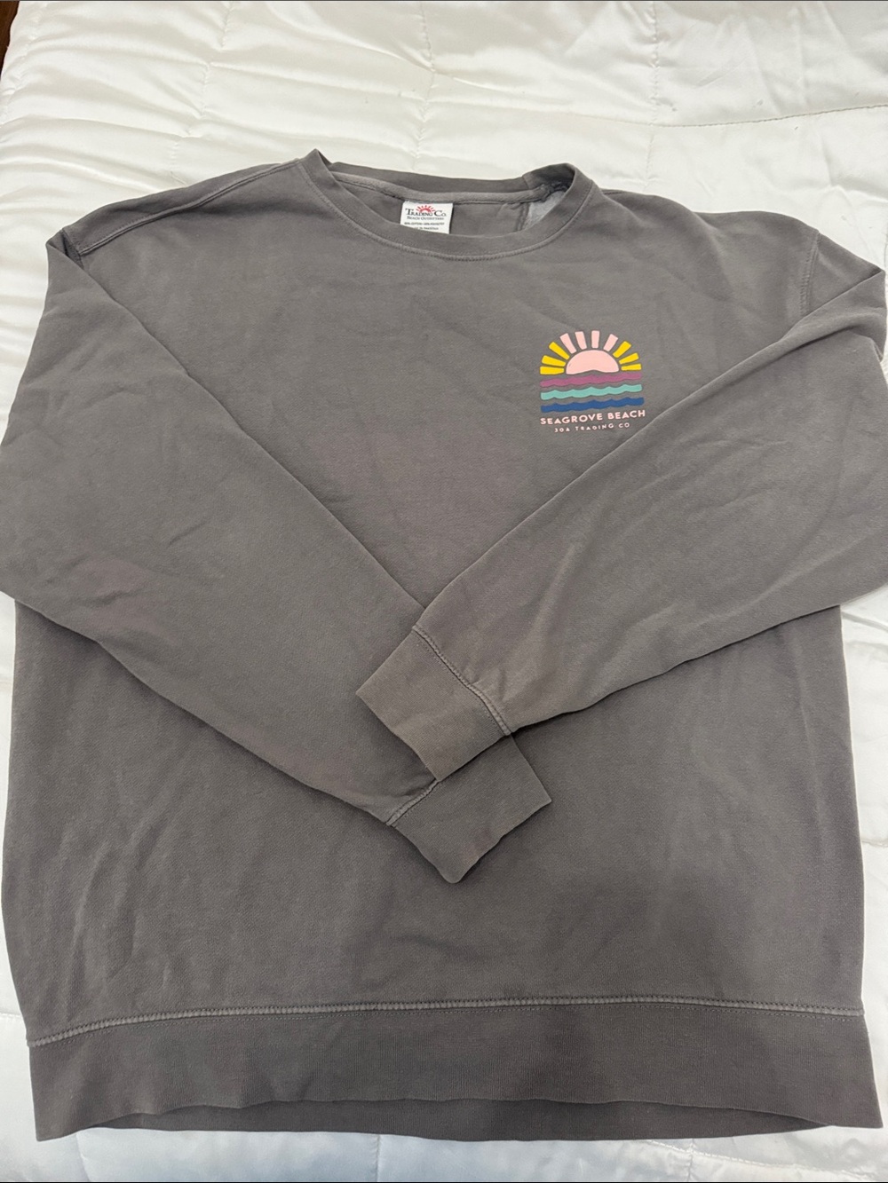 Seagrove Beach Graphic Crewneck Sweatshirt - Gray